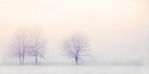 債務整理で妻の口座凍結を回避する方法は？
