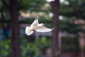 債務整理における秘密厳守の司法書士の選び方は？
