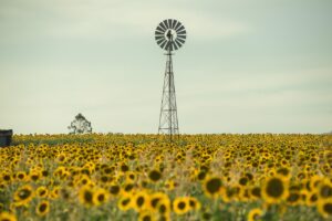 既婚の借金相談を誰にも言えないあなたがするべきことは？