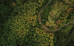 債務整理を内緒で行い、車ローンを残したい場合の方法は？