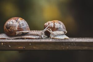 債務整理を依頼前に必ず確認すべきポイントは？